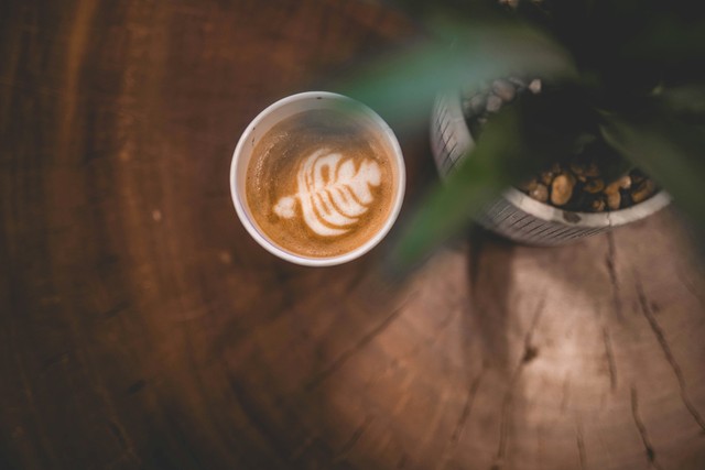 How To Grow A Coffee Tree At Home