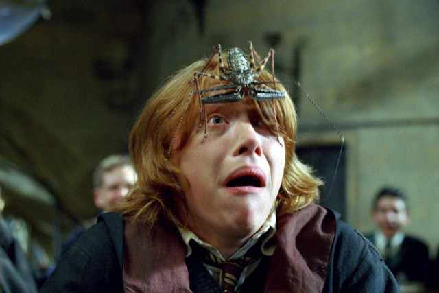 The Psychology Of Fear: Why We're Afraid