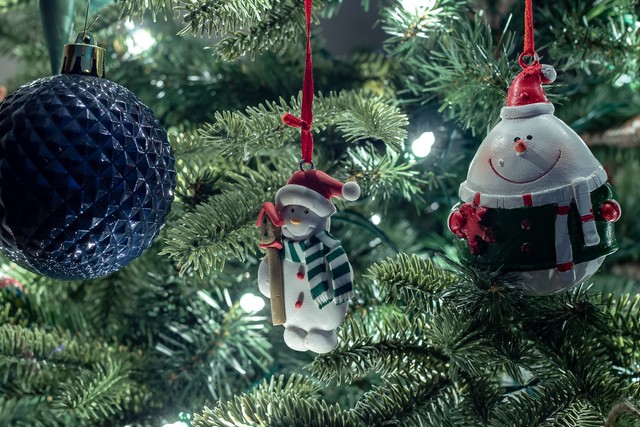 Christmas Tree: How To Choose A Live Tree Correctly