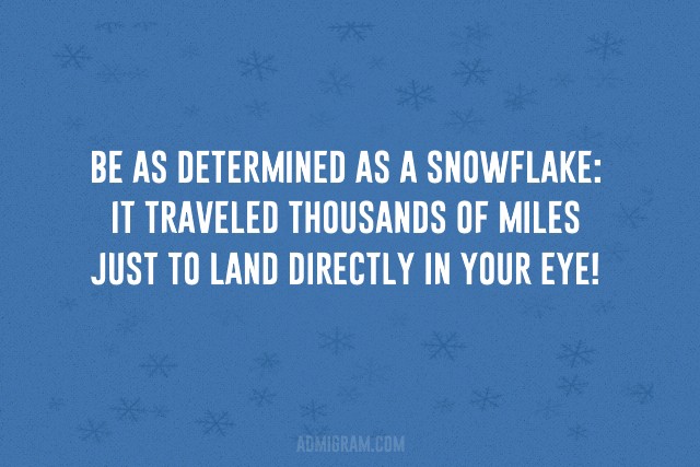 20 Funny Cards That Sum Up Winter