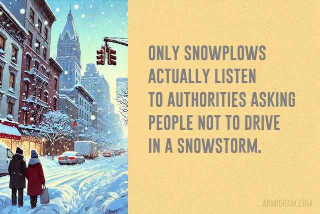 20 Funny Cards That Sum Up Winter
