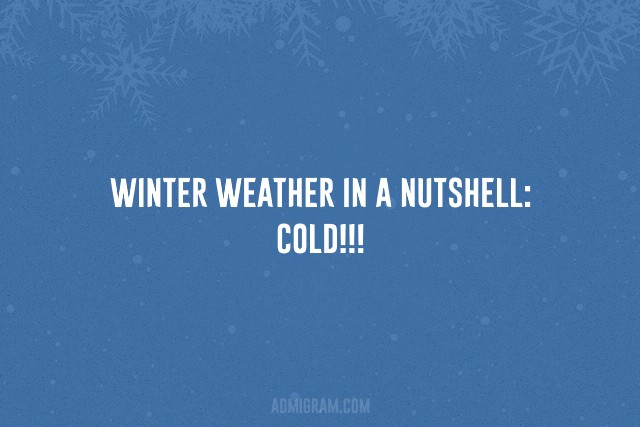 20 Funny Cards That Sum Up Winter