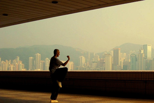 Why High-IQ Individuals Often Have Fewer Friends