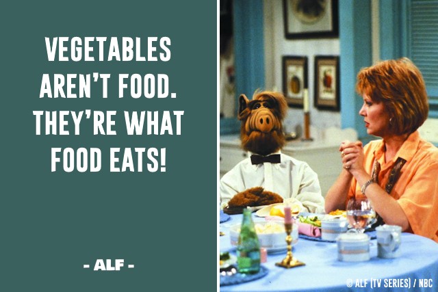 20 Out-Of-This-World Hilarious Quotes From ALF