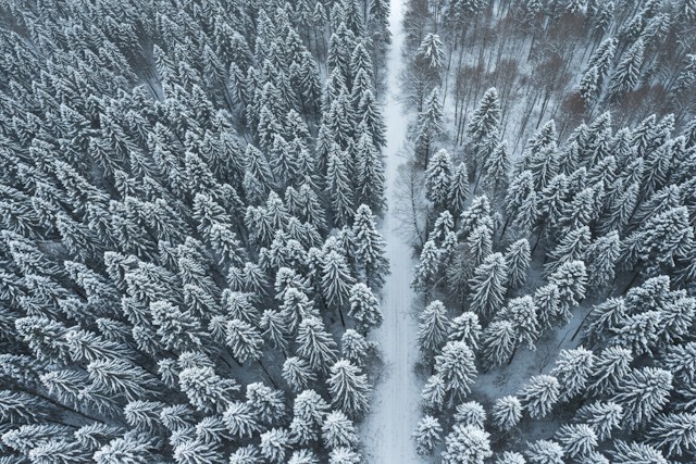 The Magical Beauty Of Denmark’s Landscapes