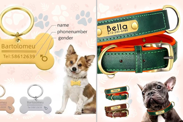 10 Affordable But Priceless Gifts For Dog Owners