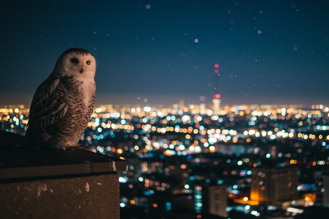 10 Awe-Inspiring Sights In The Night Sky