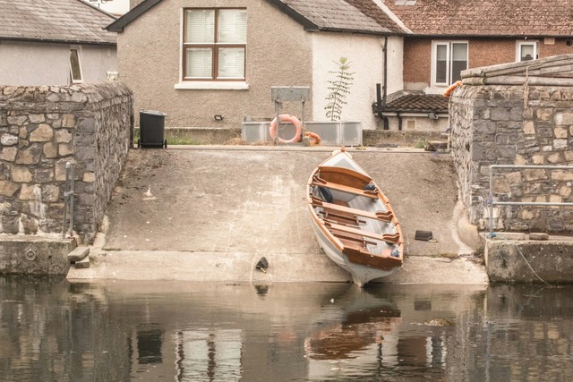 The Turtle In Dublin – A Story About Needless Worries