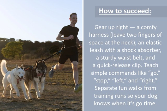 5 Dog Sports To Strengthen Bond And Energy