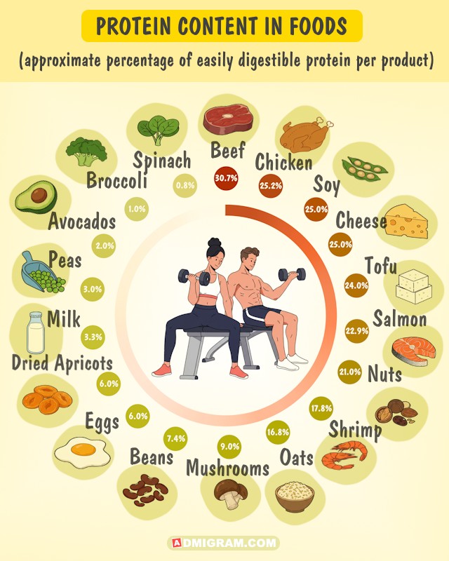 Most Digestible Protein Sources: Quick Infographic Guide