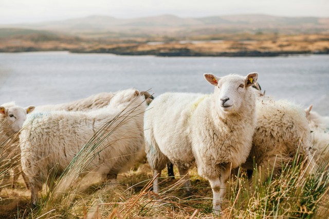 Connemara – Ireland’s Most Beautiful Escape