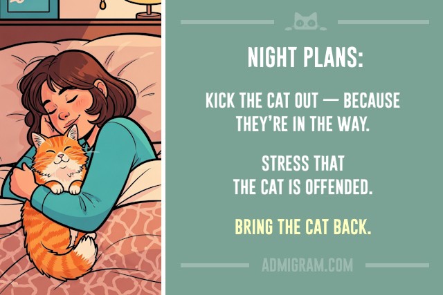10 Truths Only Cat People Understand