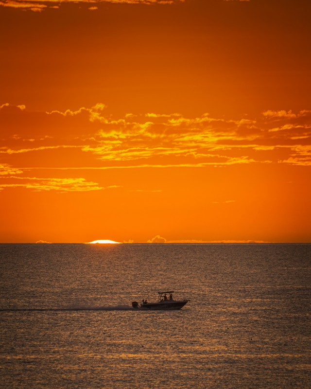The Silent Beauty Of Evening Nature