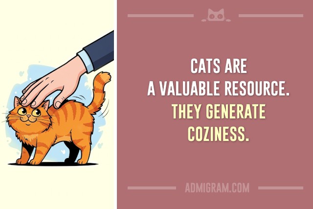 10 Truths Only Cat People Understand