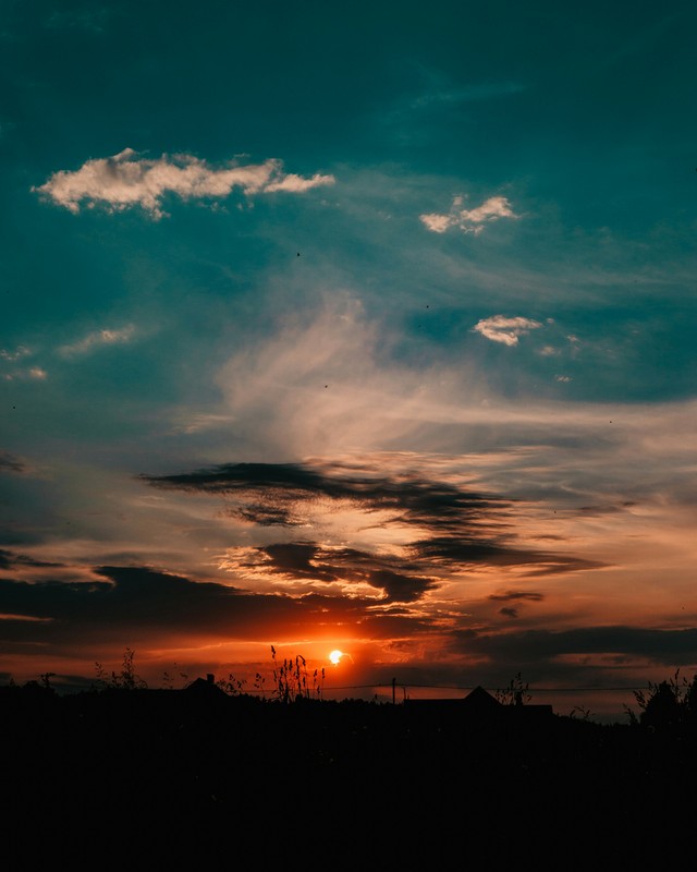 The Silent Beauty Of Evening Nature