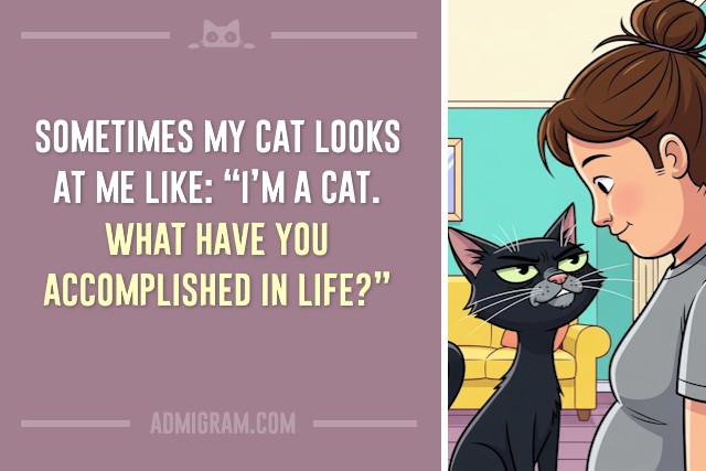 10 Truths Only Cat People Understand