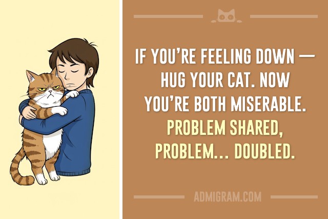 10 Truths Only Cat People Understand