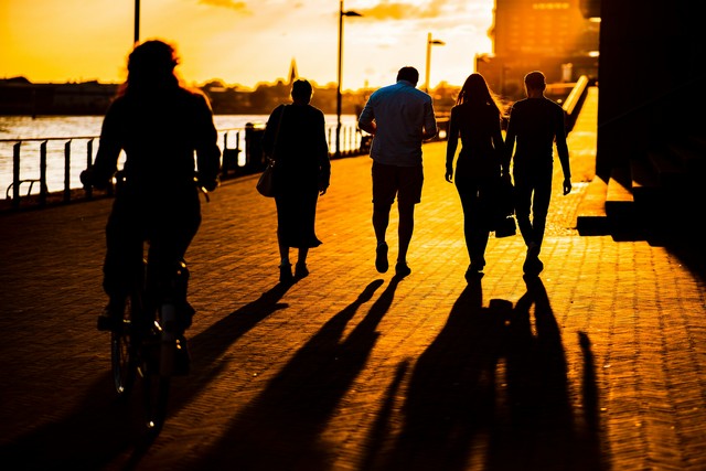 The Silent Beauty Of Evening Nature