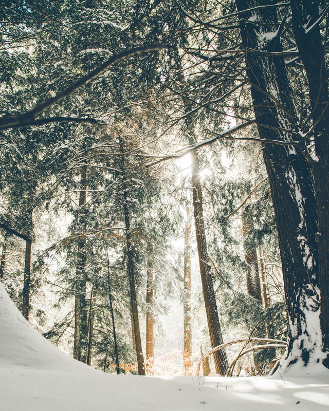 Winter Photos For Those Already Longing For Snow