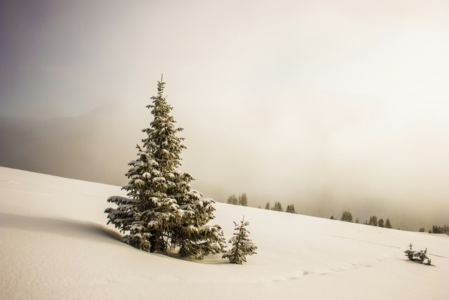 Winter Photos For Those Already Longing For Snow