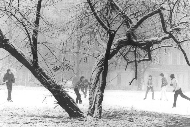 A Positive Story About Honesty And A Mobile Phone