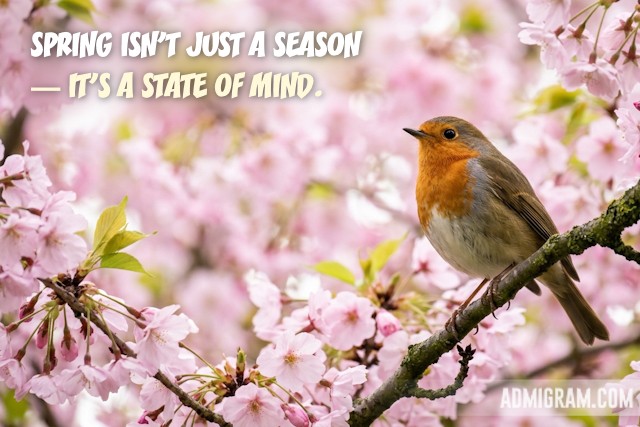 Positive Spring Quotes That Capture Its Essence