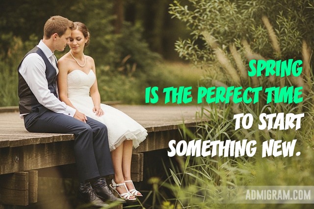 Positive Spring Quotes That Capture Its Essence