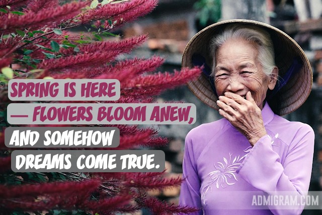 Positive Spring Quotes That Capture Its Essence