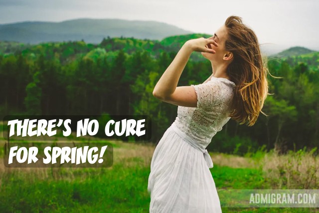 Positive Spring Quotes That Capture Its Essence