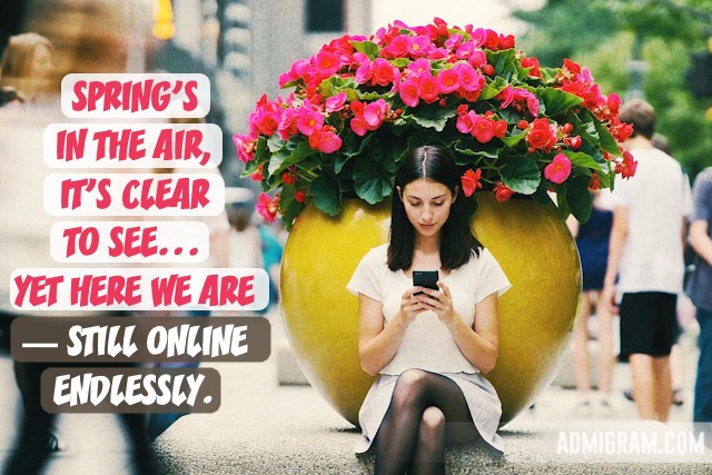 Positive Spring Quotes That Capture Its Essence