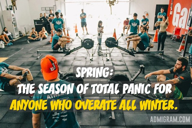 Positive Spring Quotes That Capture Its Essence