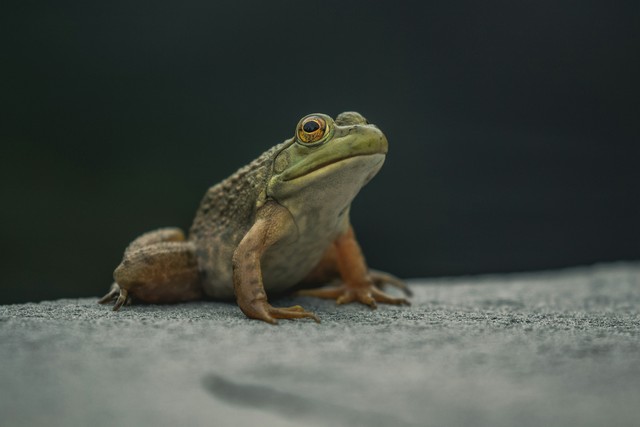 Forget Weather Apps: Read Nature’s Secret Signals