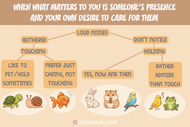 How To Know If You Should Get A Dog Or A Cat