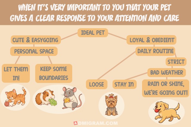 How To Know If You Should Get A Dog Or A Cat